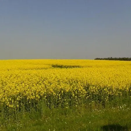 Ralph's Haus Am Σπίτι διακοπών